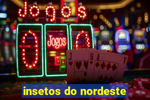 insetos do nordeste